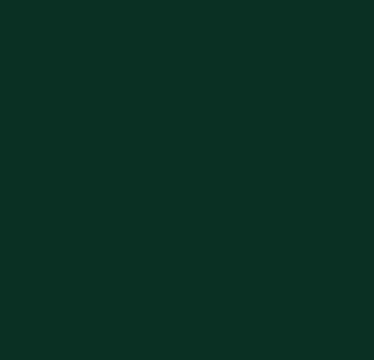 | Desktop 4174 conifer | Lispimeks