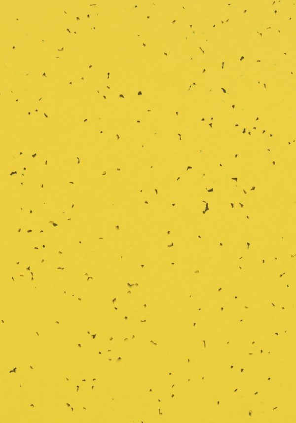 | Sphera Energetic 50201 yellow | Lispimeks